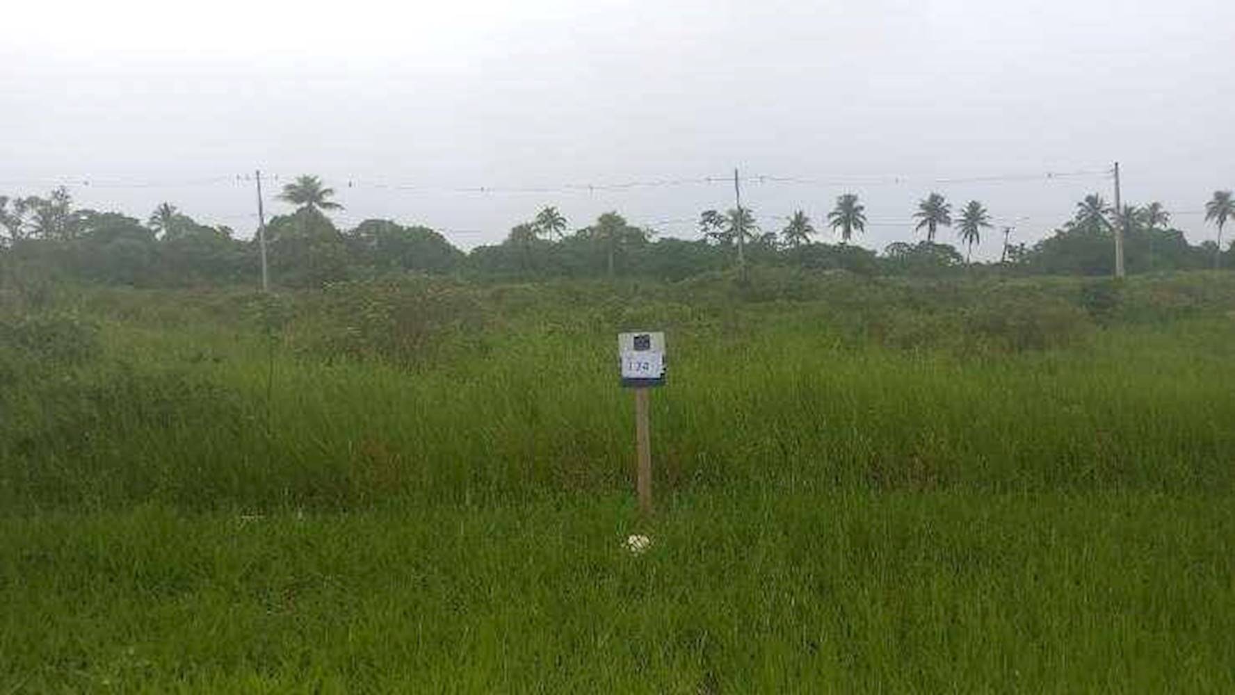 Terreno no Distrito de Boa União em Alagoinhas/BA, localizado em Alagoinhas - BA