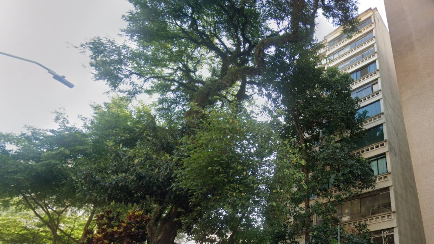 Imagem do imóvel Apartamento no "Edifício São Rafael"-  Vila Buarque -  São Paulo/SP