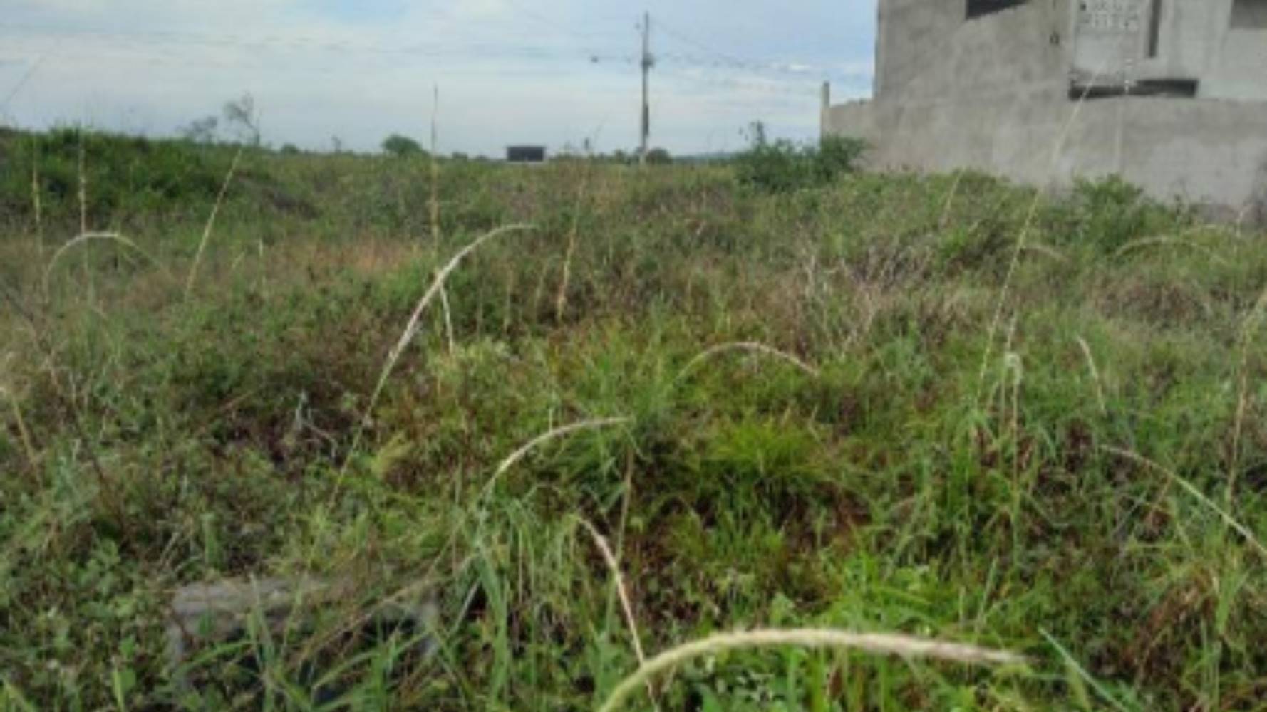 Terreno em Registro - Feira de Santana/BA, localizado em Feira de Santana - BA