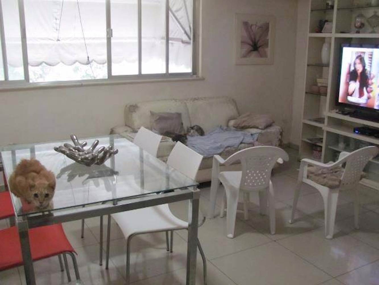 Apartamento, Padrão, 1 vaga(s) de garagem, localizado em Rio de Janeiro - RJ