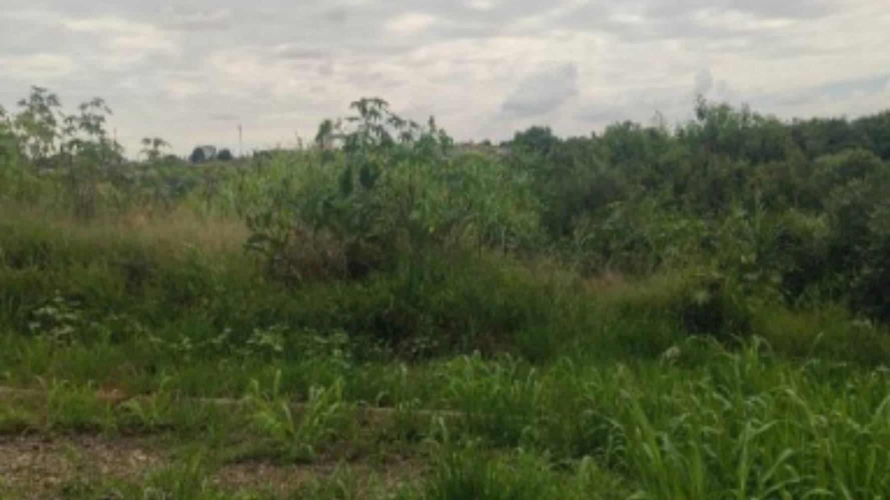 Imagem do imóvel Terreno no Jardim Fogaça - Itapetininga/SP