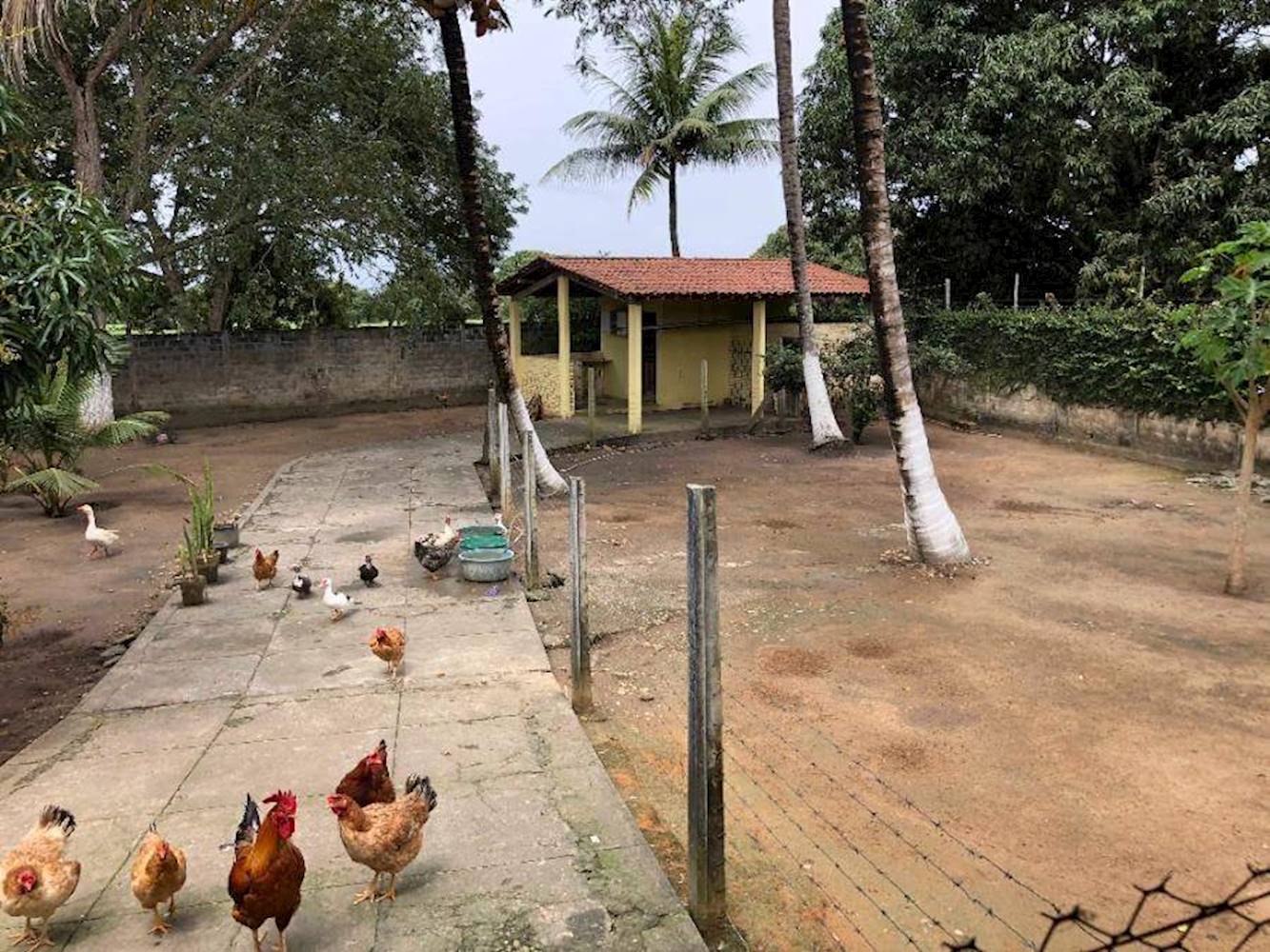 Casa em Dom Constantino - Penedo/AL, localizado em Penedo - AL