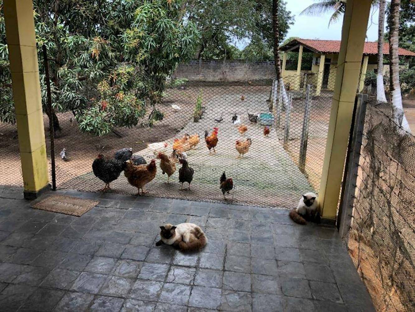 Casa em Dom Constantino - Penedo/AL, localizado em Penedo - AL