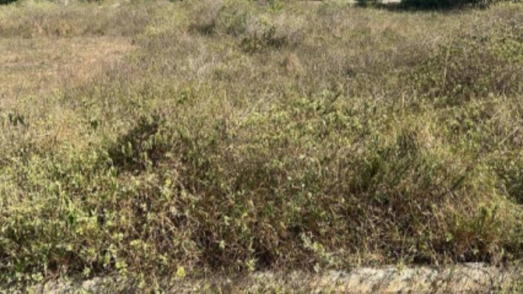 Imagem do imóvel Terreno no Loteamento Veredas Feira de Santana - Registro - Feira de Santana/BA