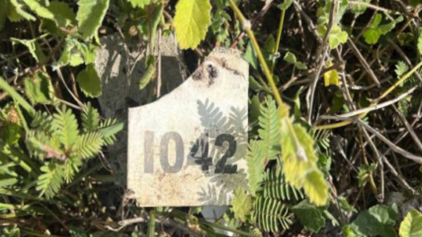 Terreno no Loteamento Veredas Feira de Santana - Registro - Feira de Santana/BA, localizado em Feira de Santana - BA