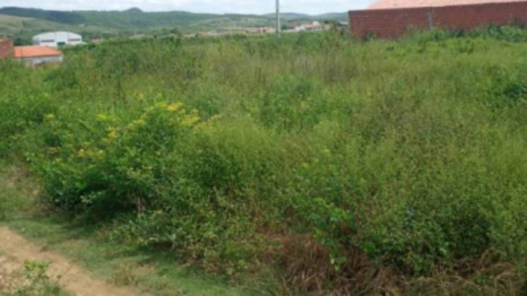 04 Terrenos em Santa Maria - Pedra Branca/CE, localizado em Pedra Branca - CE