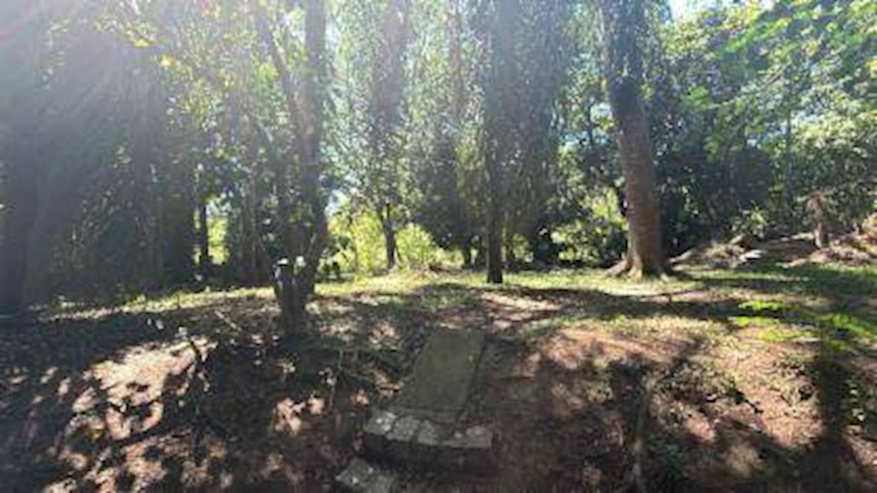 Casa em Tarumã - Viamão/RS, localizado em Viamão - RS