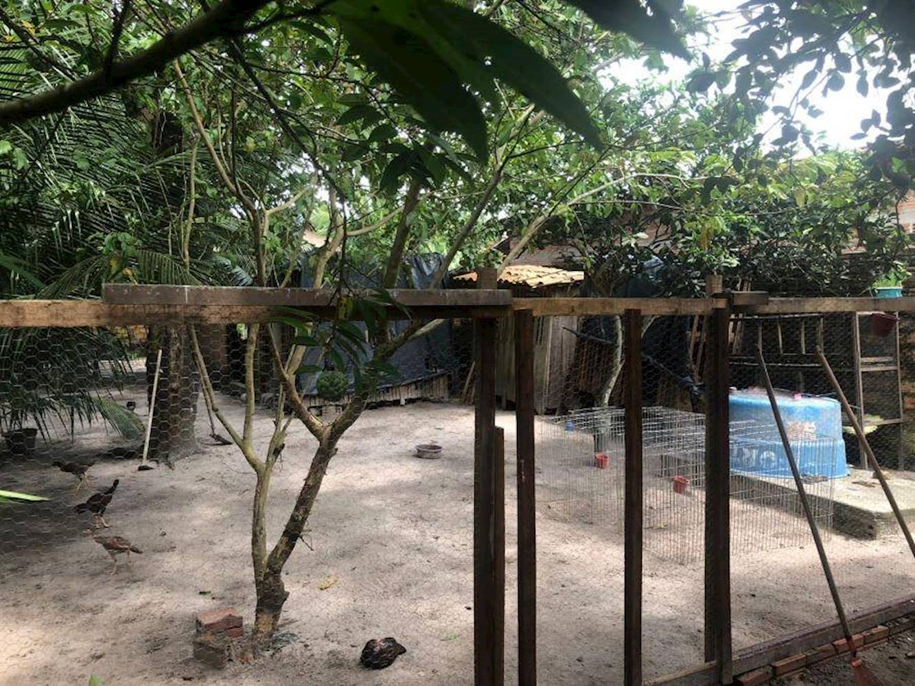 Casa em Boa Vista - Maracaçumé/MA, localizado em Maracaçumé - MA