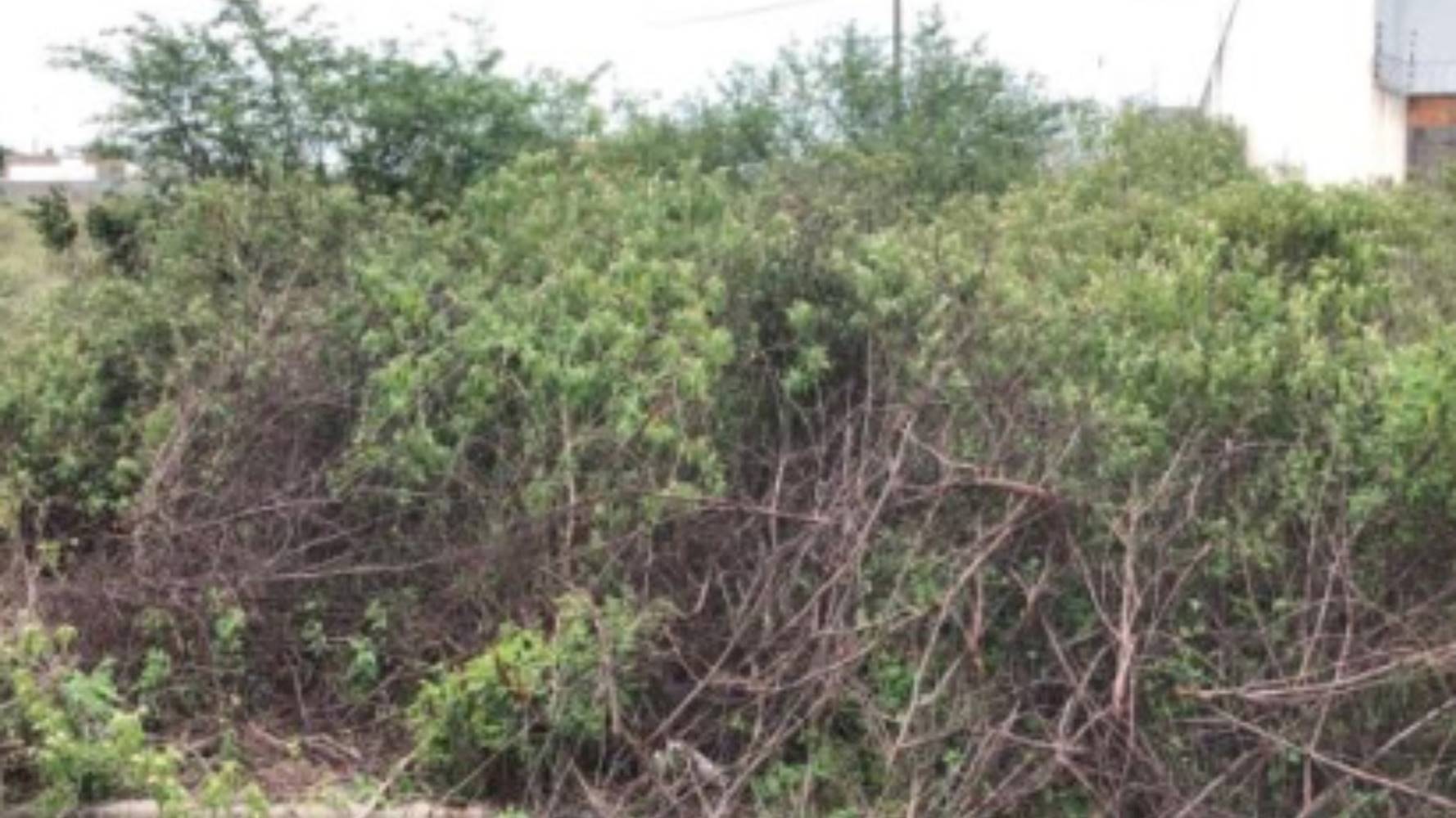 Terreno no Loteamento Vivari Feira de Santana - Registro - Feira de Santana/BA, localizado em Feira de Santana - BA