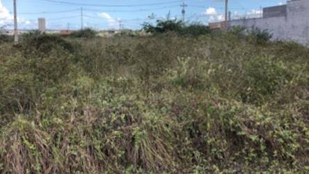 Terreno no loteamento vivari feira de santana - registro - feira de santana/ba