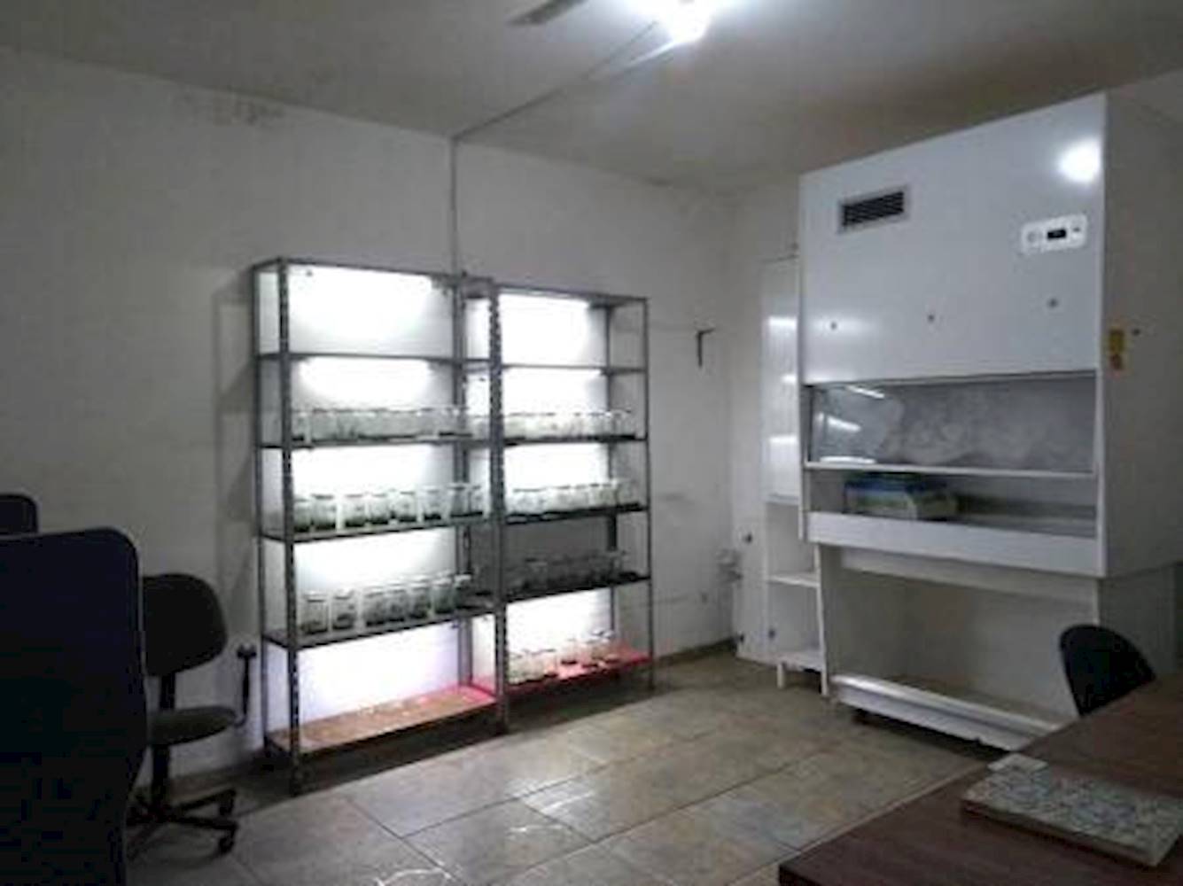 Casa em Saúde - Guaiçara/SP, localizado em Guaiçara - SP