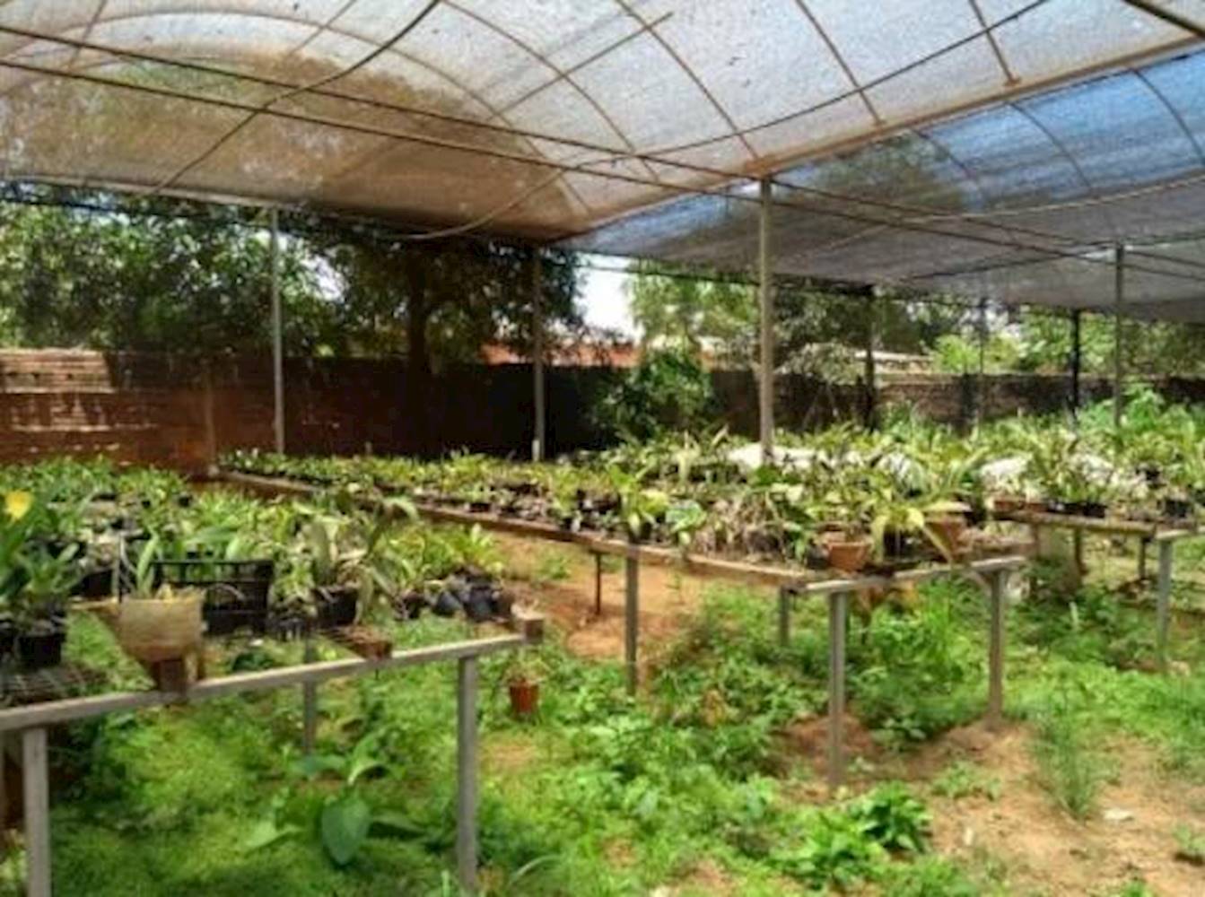 Casa em Saúde - Guaiçara/SP, localizado em Guaiçara - SP