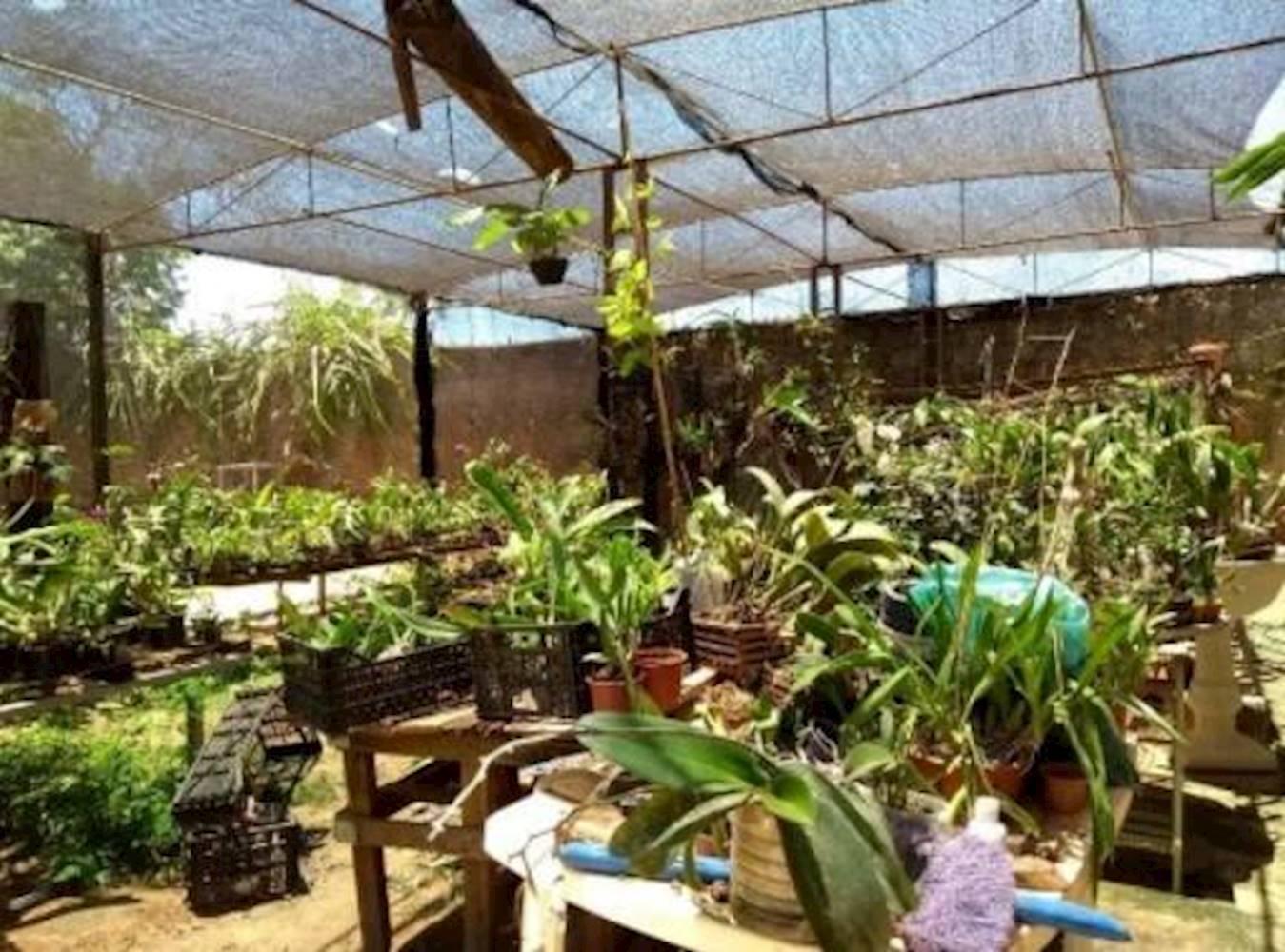 Casa em Saúde - Guaiçara/SP, localizado em Guaiçara - SP