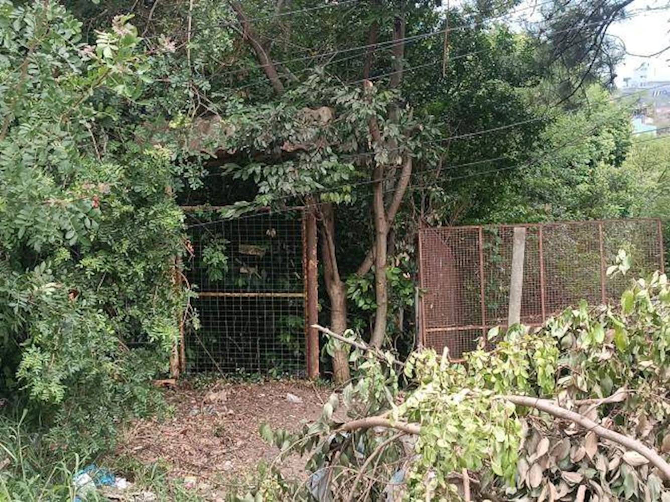 Imagem do imóvel Terreno no São Lucas em Viamão/RS