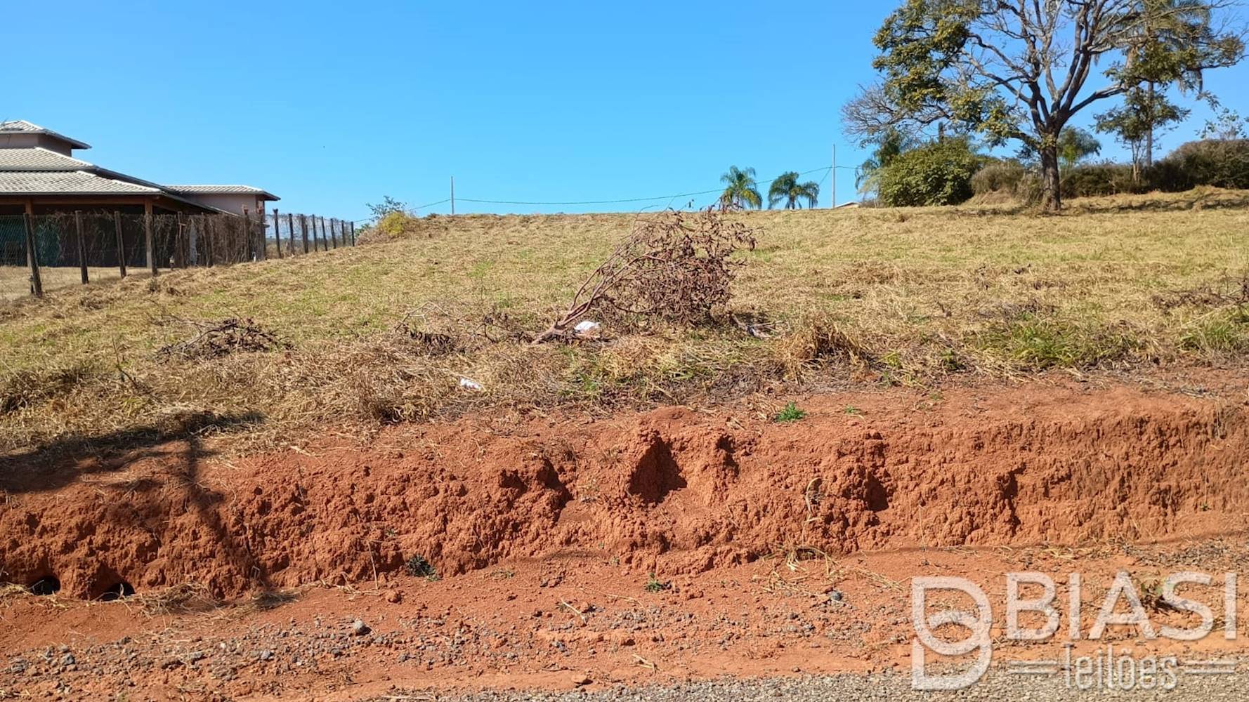 Terreno em Carmópolis de Minas/MG | Lote 06 - Quadra 04 | 1.000,00 m²