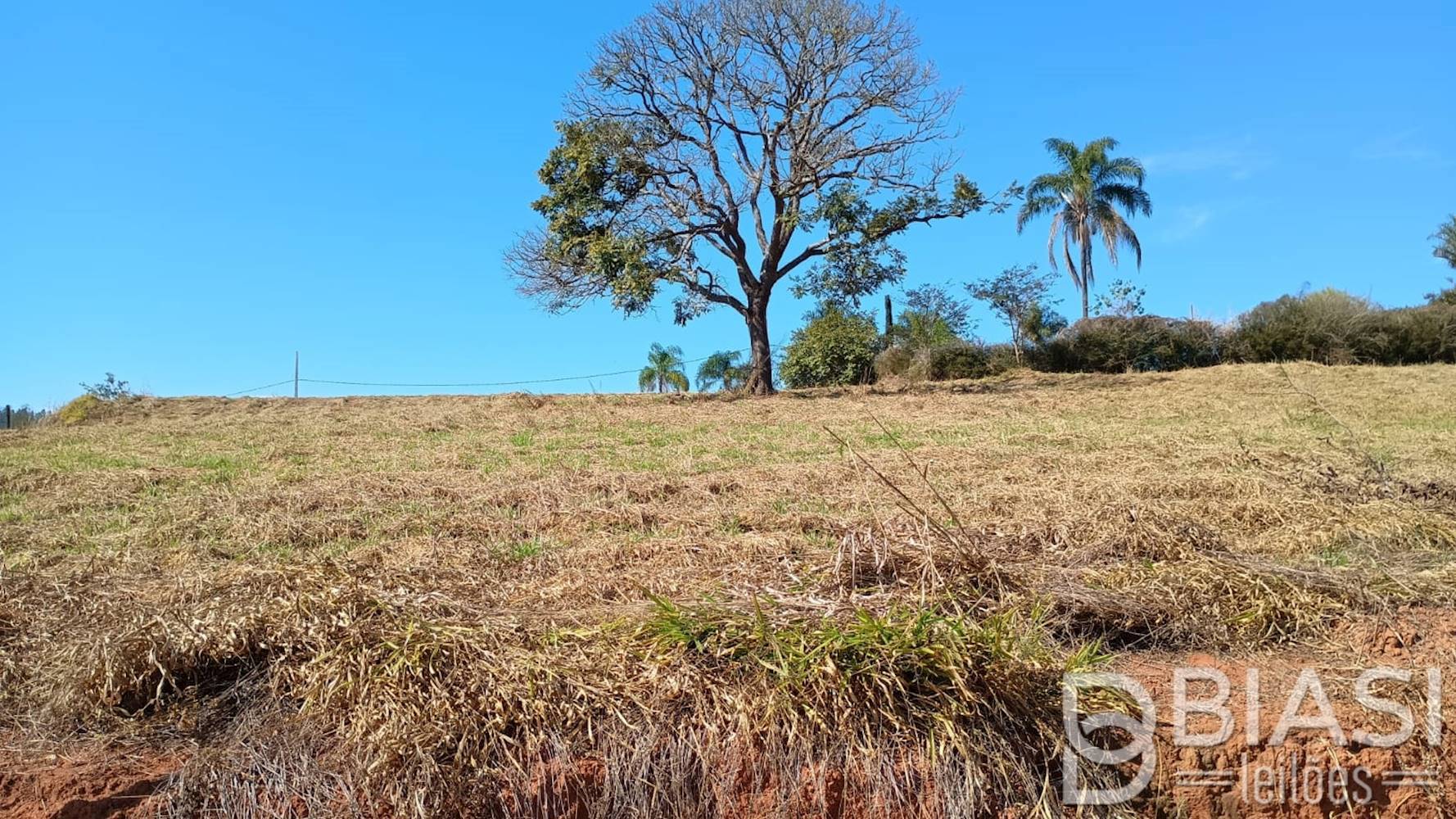 Terreno em Carmópolis de Minas/MG | Lote 07 - Quadra 04 | 1.000,00 m²
