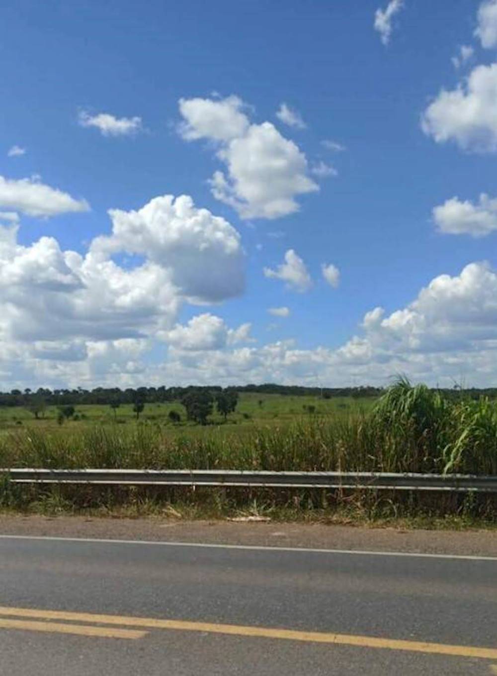 Fazenda em Lagoa Grande/MG