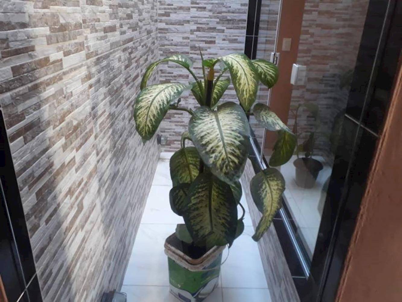 Casa em Novo Horizonte - Tupanatinga/PE, localizado em Tupanatinga - PE