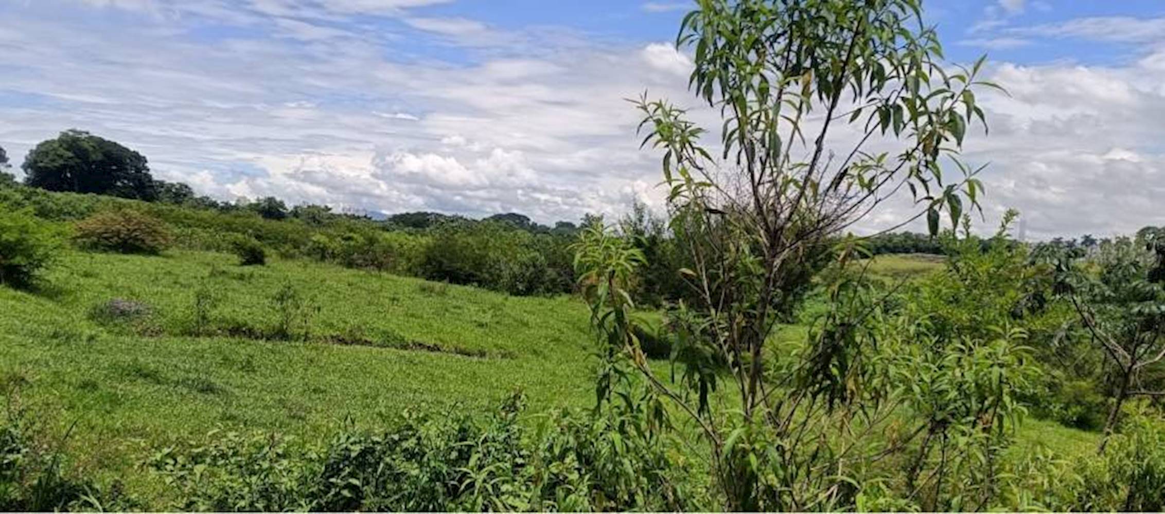 Terreno no Parque São Cristóvão em Taubaté/SP, localizado em Taubaté - SP
