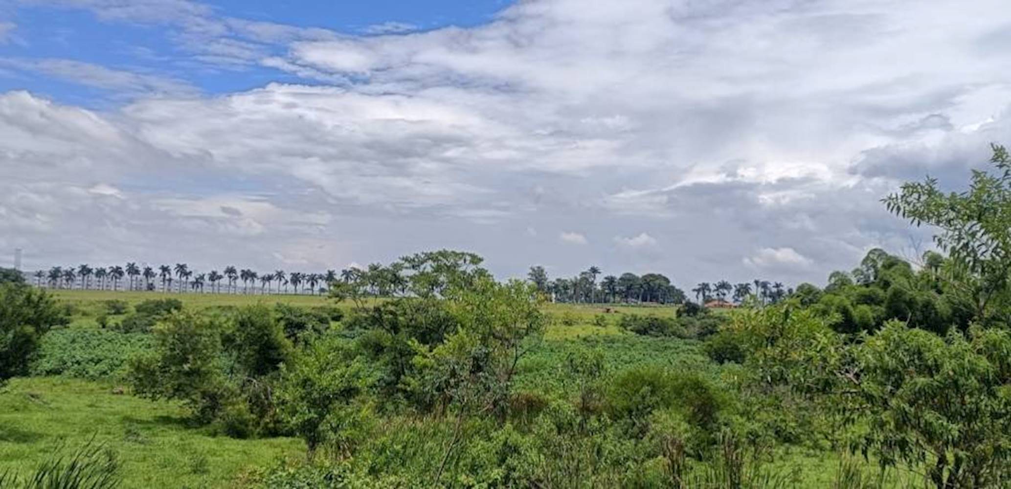 Terreno no Parque São Cristóvão em Taubaté/SP, localizado em Taubaté - SP