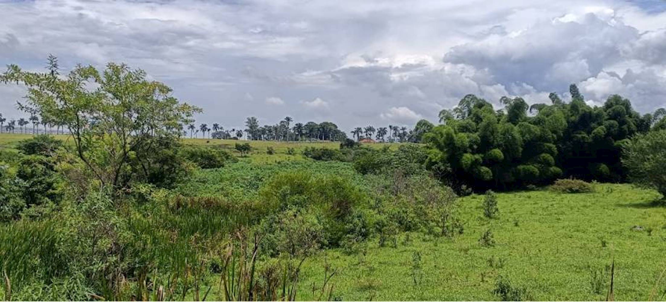 Terreno no Parque São Cristóvão em Taubaté/SP, localizado em Taubaté - SP