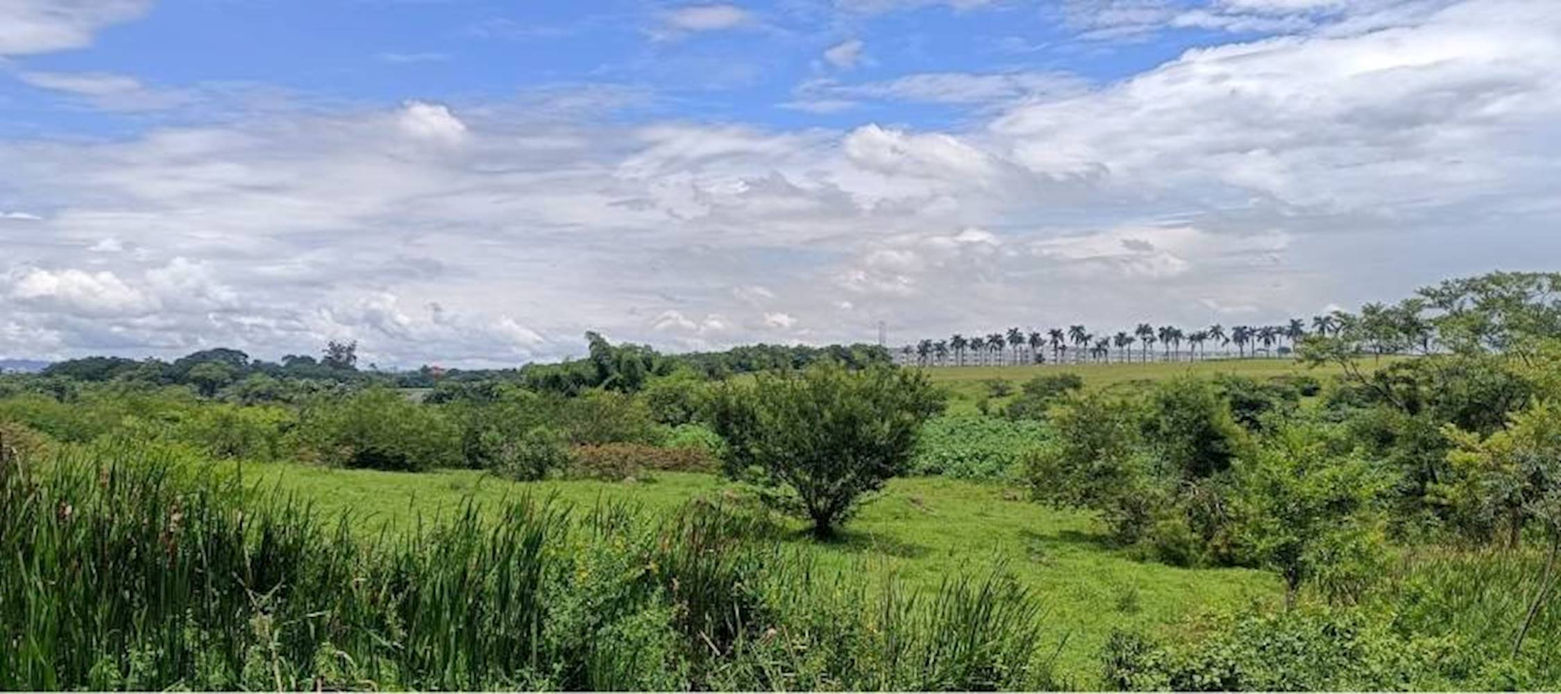 Terreno no Parque São Cristóvão em Taubaté/SP, localizado em Taubaté - SP