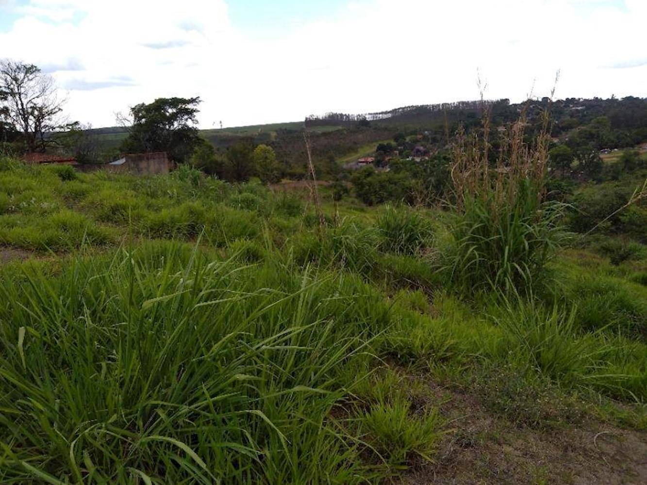 Terreno no Jardim Residencial Regina Bastelli - Limeira/SP, localizado em Limeira - SP