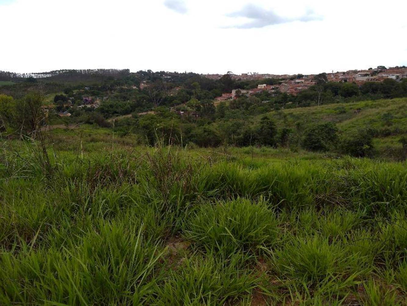 Terreno no Jardim Residencial Regina Bastelli - Limeira/SP, localizado em Limeira - SP