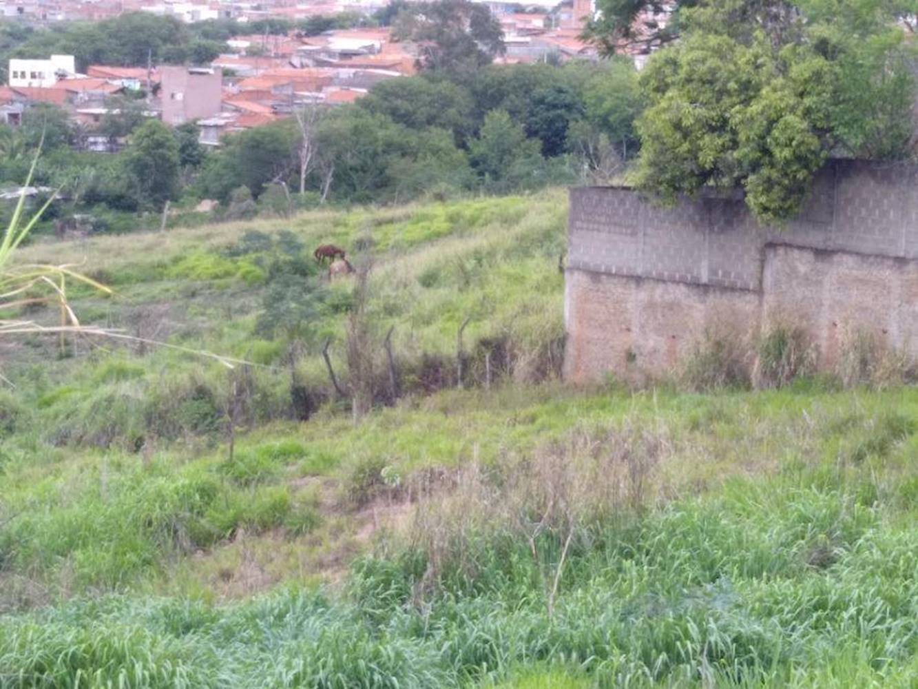 Terreno no Jardim Residencial Regina Bastelli - Limeira/SP, localizado em Limeira - SP