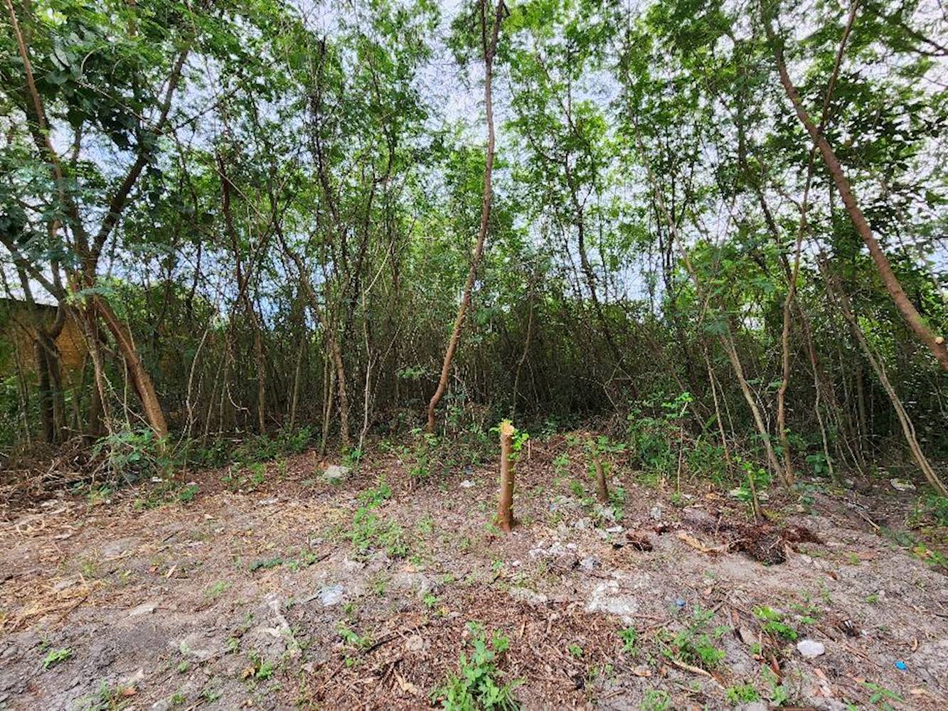 Terreno no Recreio dos Bandeirantes - Rio de Janeiro/RJ, localizado em Rio De Janeiro - RJ