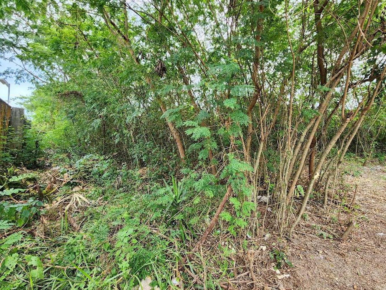 Terreno no Recreio dos Bandeirantes - Rio de Janeiro/RJ, localizado em Rio De Janeiro - RJ