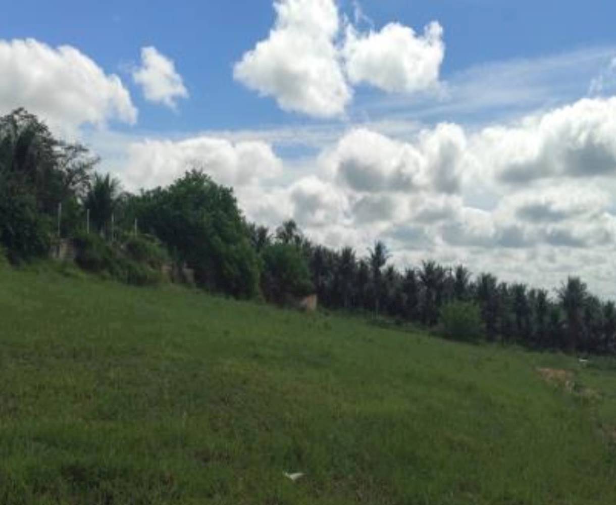 Terreno em Adolfo Xavier - Eunápolis/BA, localizado em Eunápolis - BA