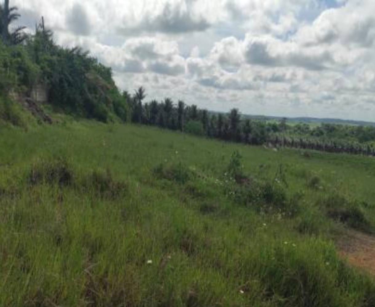 Terreno em Adolfo Xavier - Eunápolis/BA, localizado em Eunápolis - BA