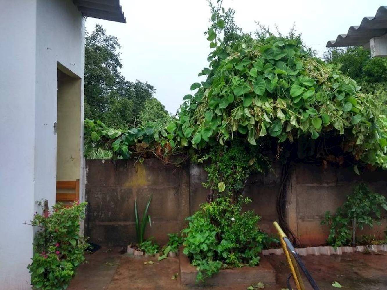 Casa no Centro - Promissão/SP, localizado em Promissão - SP