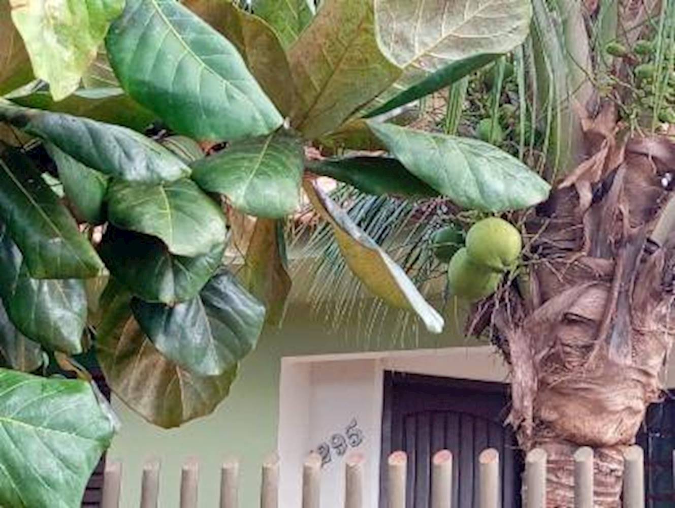 Casa no Jardim América - Assis Chateaubriand/PR, localizado em Assis Chateaubriand - PR