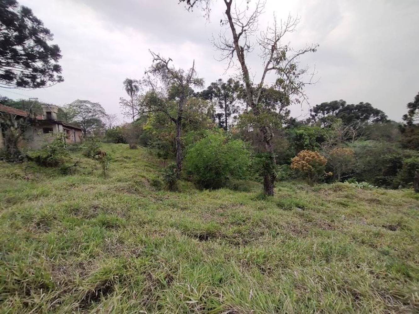 Terreno no Jardim Sabia em Cotia/SP, localizado em Cotia - SP