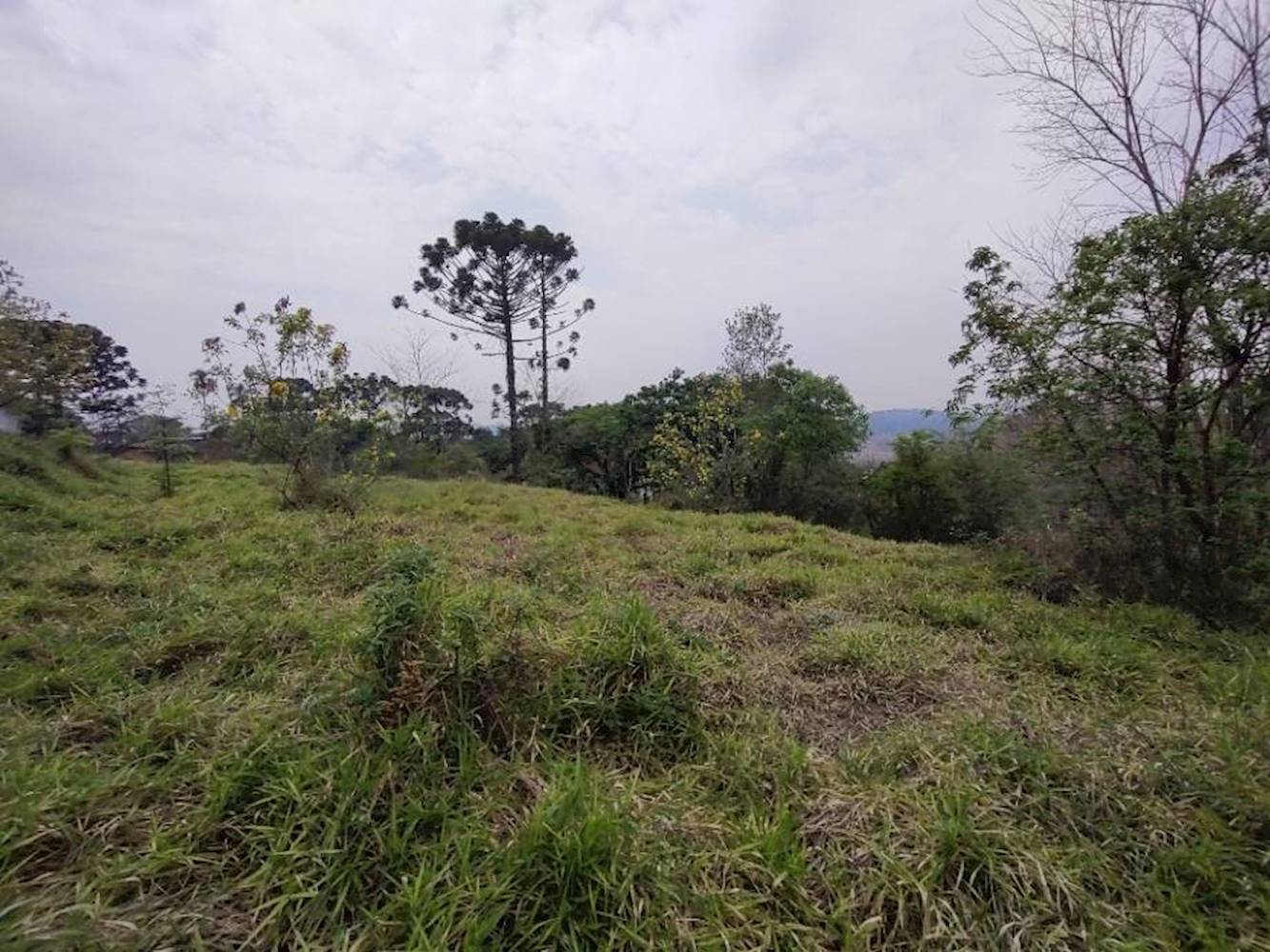 Terreno no Jardim Sabia em Cotia/SP, localizado em Cotia - SP