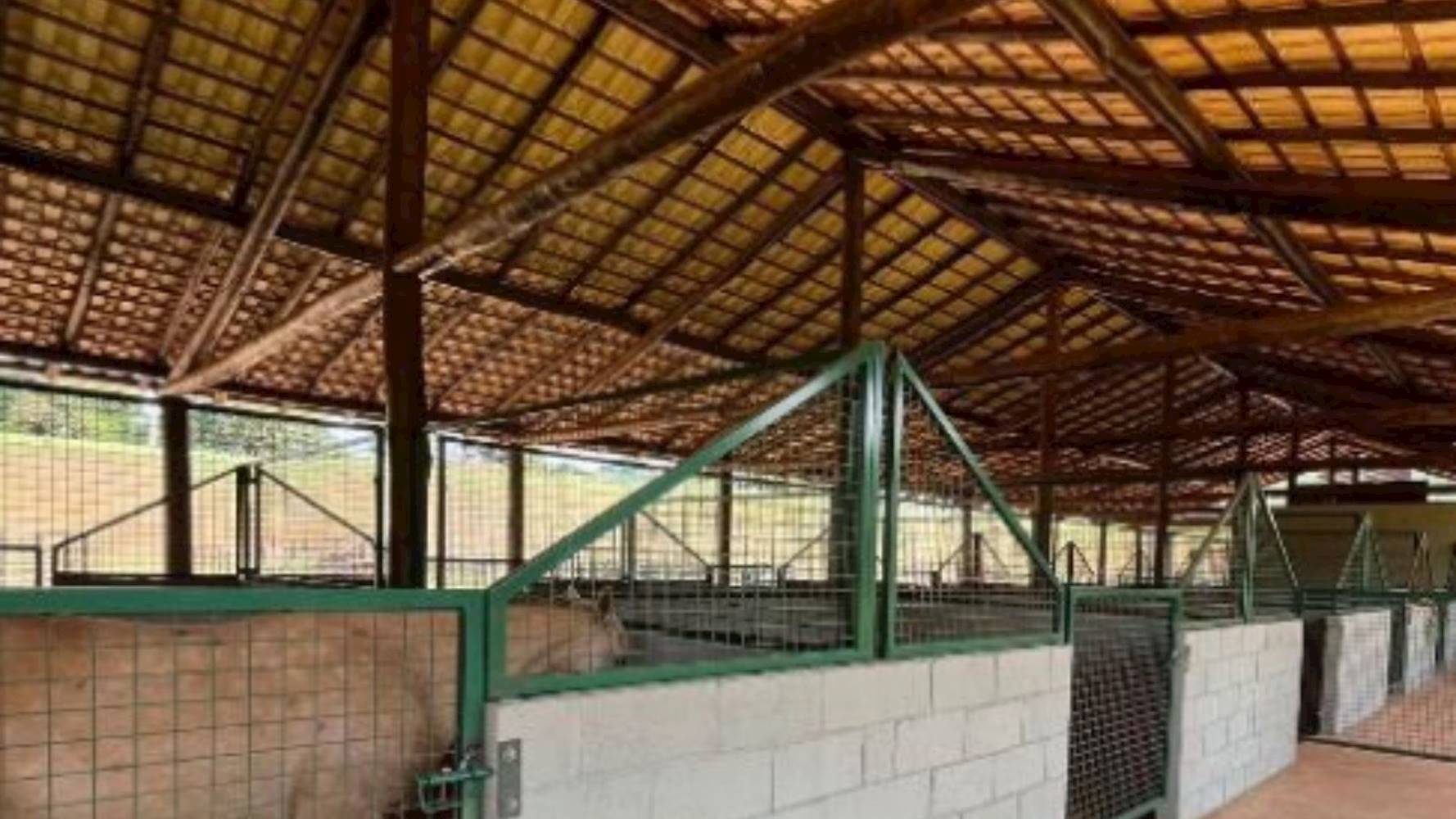 Terreno na Reserva dos Equestres - Ipiguá/SP, localizado em Ipiguá - SP