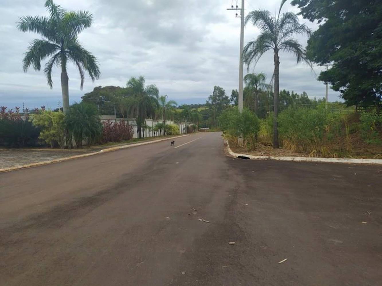 Terreno no Parque Residencial Viva em Pérola/PR, localizado em Pérola - PR, bairro Pérola