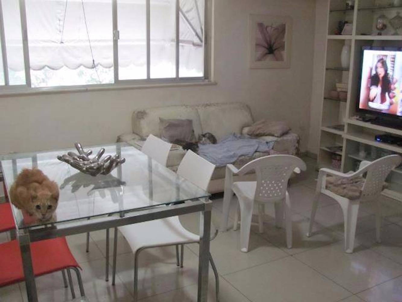 Apartamento no Catumbi - Rio De Janeiro/RJ, localizado em Rio De Janeiro - RJ, bairro Catumbi