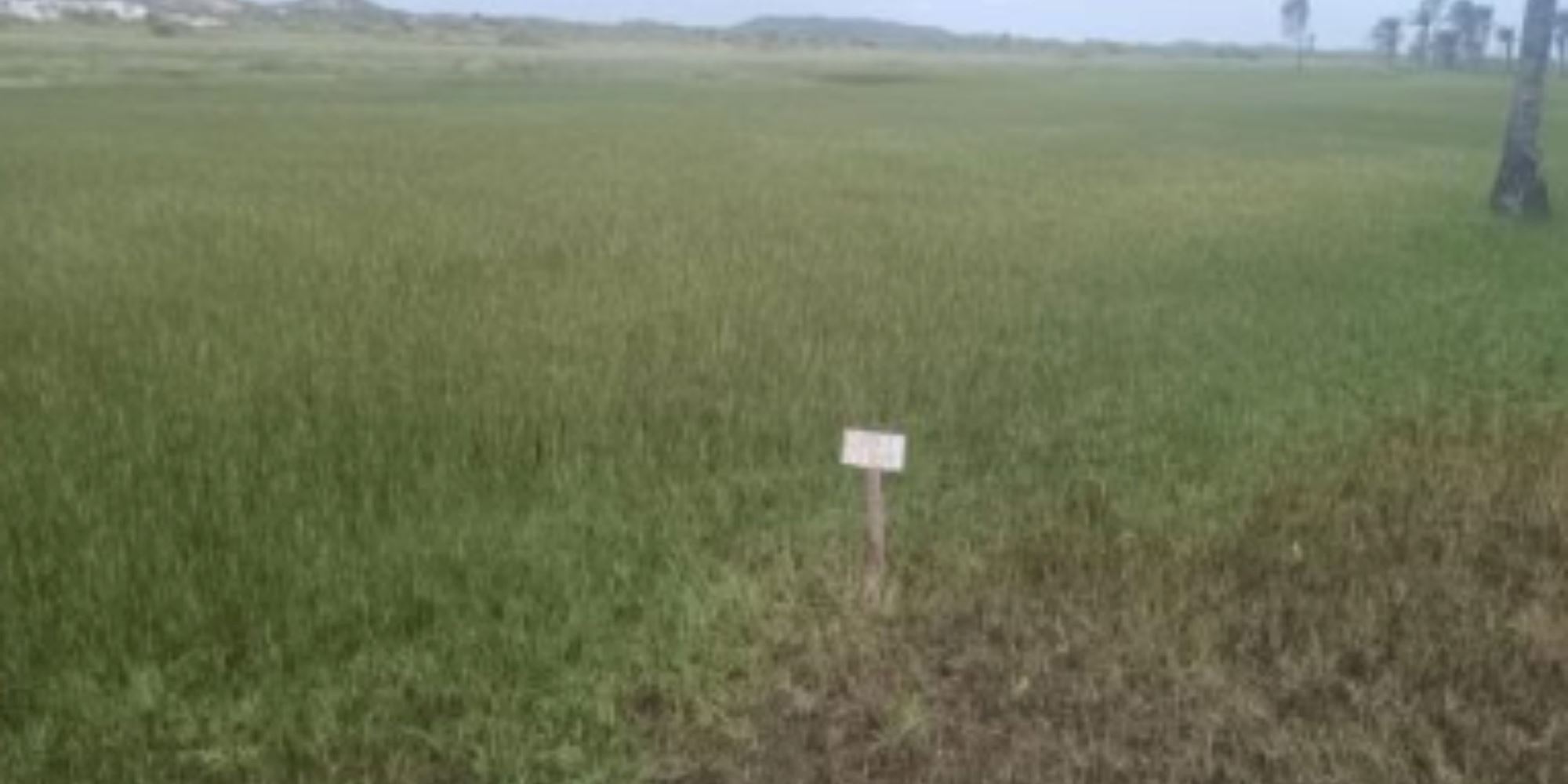 02 Terrenos na Vila Rica dos Abais - Itaporanga D'Ajuda/SE, localizado em Itaporanga D'ajuda - SE, bairro Vila Rica dos Abais
