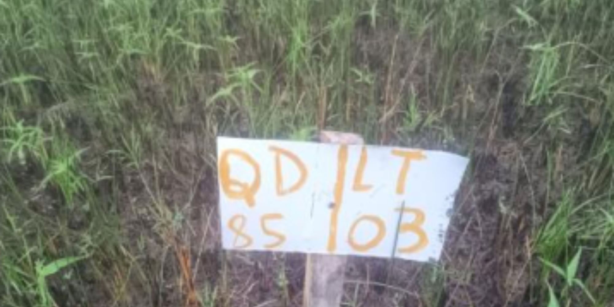 02 Terrenos na Vila Rica dos Abais - Itaporanga D'Ajuda/SE, localizado em Itaporanga D'ajuda - SE, bairro Vila Rica dos Abais
