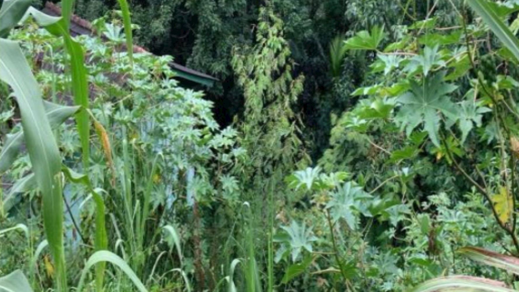 Terreno no Bairro Flor da Serra - Joaçaba/SC, localizado em Joaçaba - SC, bairro Flor da Serra