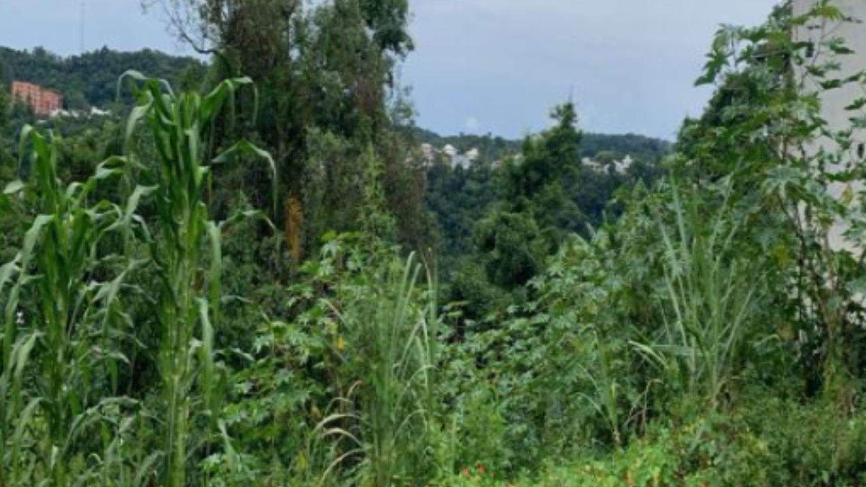 Terreno no Bairro Flor da Serra - Joaçaba/SC, localizado em Joaçaba - SC, bairro Flor da Serra