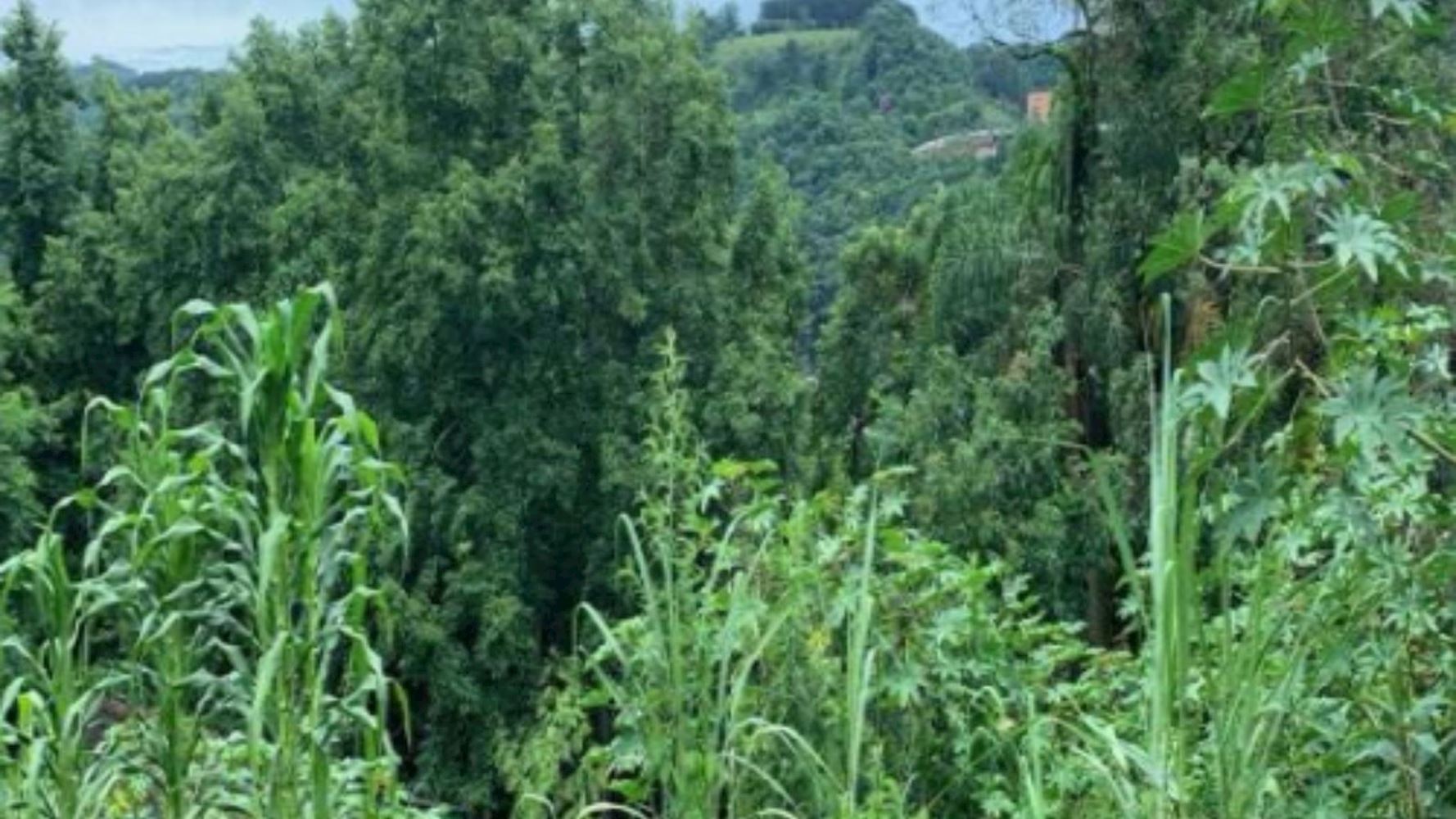 Terreno no Bairro Flor da Serra - Joaçaba/SC, localizado em Joaçaba - SC, bairro Flor da Serra