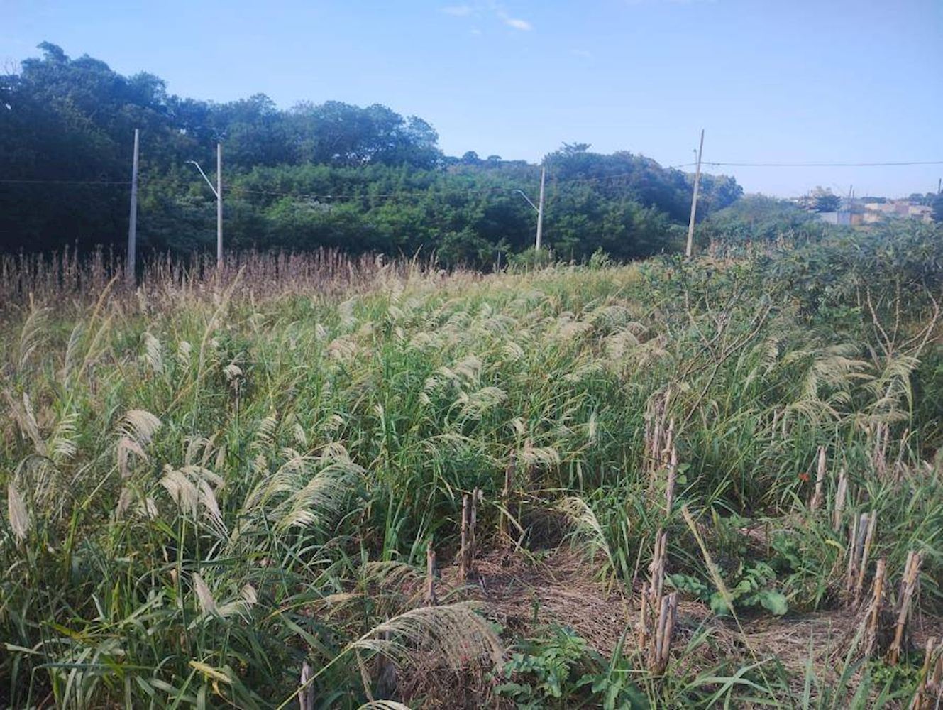 Terreno no Loteamento: Jardim Ravena - Cafelândia/PR, localizado em Cafelândia - PR, bairro Centro