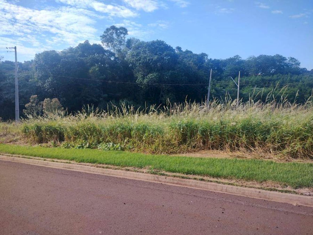 Terreno no Loteamento: Jardim Ravena - Cafelândia/PR, localizado em Cafelândia - PR, bairro Centro