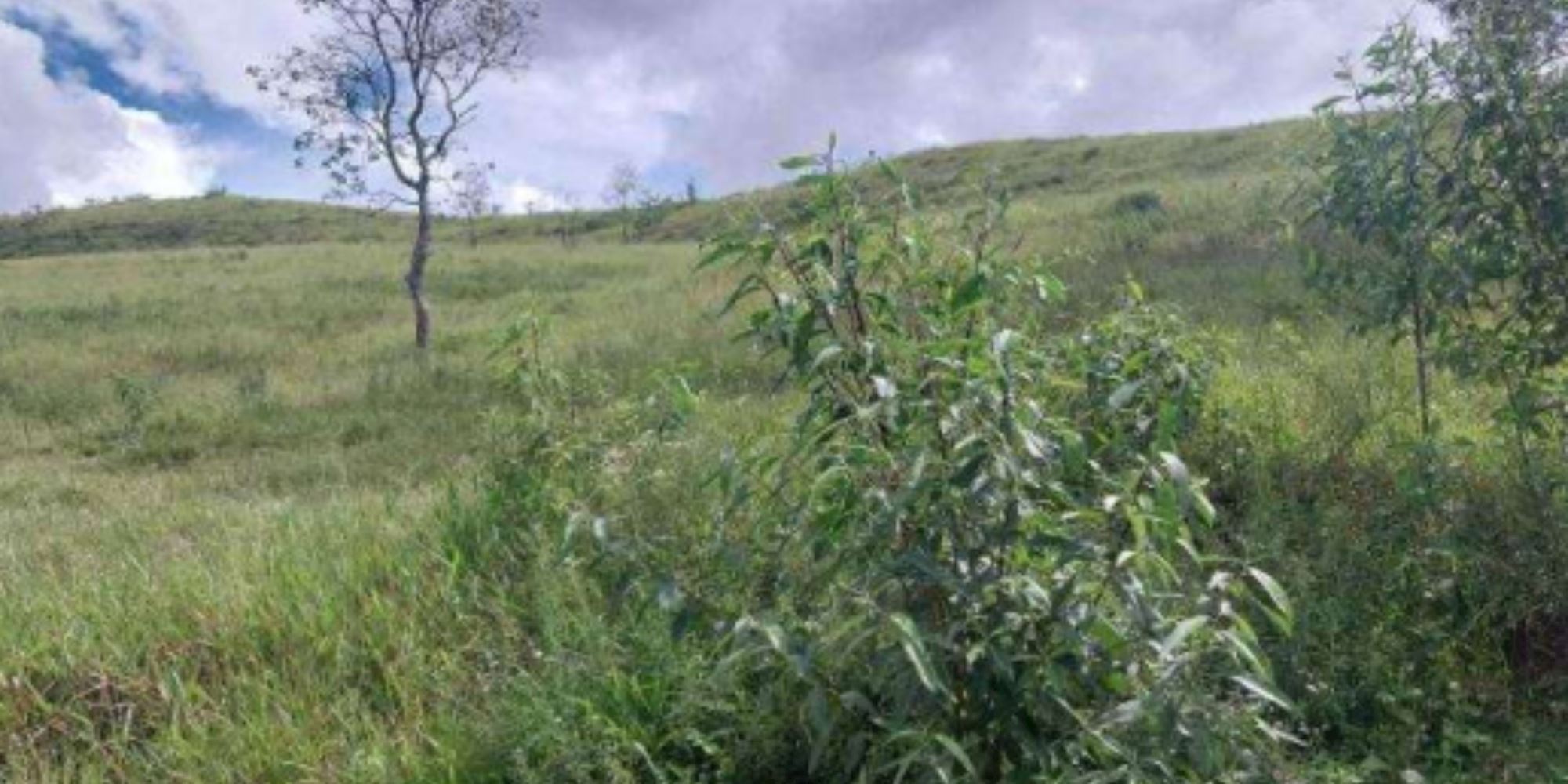 Terreno na Colônia Joaquim Delfino - Cristina/MG, localizado em Cristina - MG, bairro Colônia Joaquim Delfino