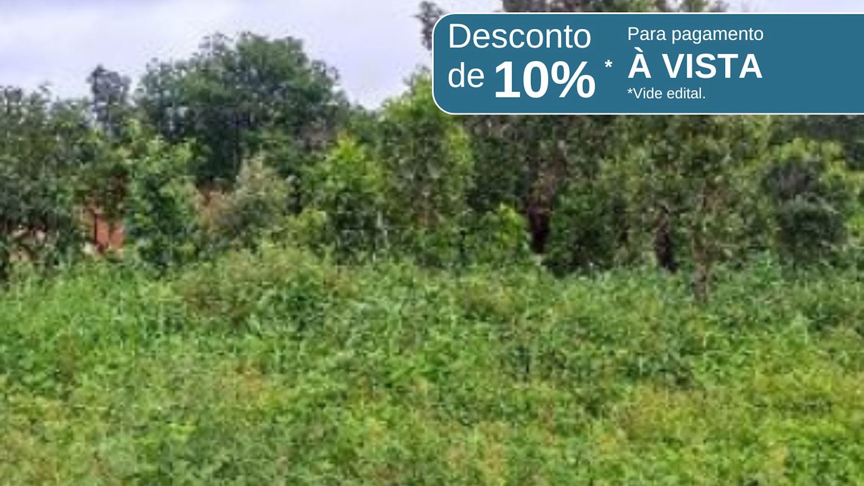 Imagem do imóvel 06 Terrenos no Jardim das Acácias em Paraíso de Tocantins/TO