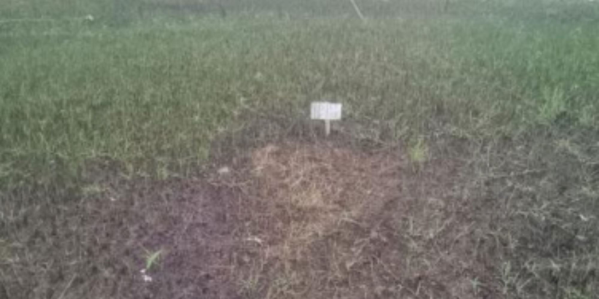 02 Terrenos na Vila Rica dos Abais - Itaporanga D'Ajuda/SE, localizado em Itaporanga D'ajuda - SE, bairro Vila Rica dos Abais